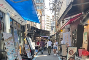 Tokio: Stadsrondleiding in een privétour