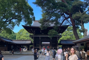 Tokio: Stadsrondleiding in een privétour