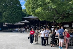 Tokio: Stadsrondleiding in een privétour