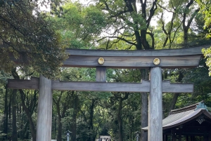 Tokio: Stadsrondleiding in een privétour