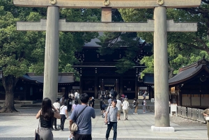 Tokio: Stadsrondleiding in een privétour