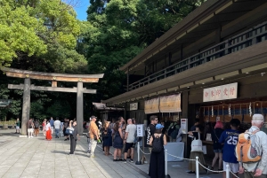 Tokio: Stadsrondleiding in een privétour