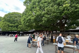 Tokyo: Private City Tour with Spanish-Speaking Guide