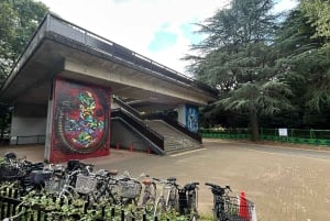 Tokyo: Private City Tour with Spanish-Speaking Guide