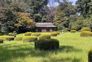 Tokyo: Private City Tour with Spanish-Speaking Guide