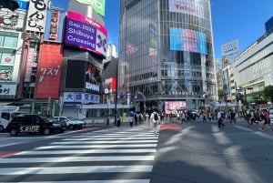 Tokyo: Private City Tour with Spanish-Speaking Guide