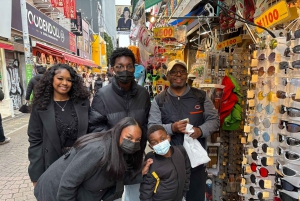 Tokio: privé tour op maat met gids en chauffeur