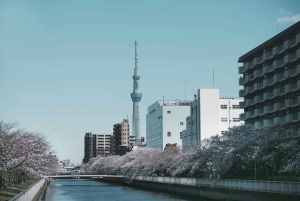 Tokio: Tour privado de la ciudad personalizable con chófer