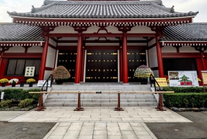 Tokio: Tour privado de la ciudad personalizable con chófer