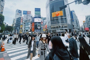 Tokio: Tour privado de la ciudad personalizable con chófer