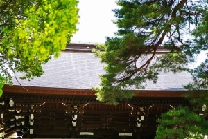 Tokio: Tour privado de la ciudad personalizable con chófer