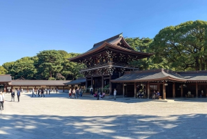 Tokio: Tour privado de la ciudad personalizable con chófer