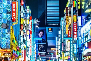 Tokio: Tour privado de la ciudad personalizable con chófer