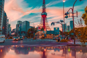 Tokio: Tour privado de la ciudad personalizable con chófer