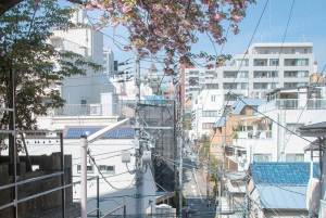 Tokio: Tour privado de la ciudad personalizable con chófer