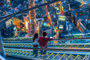 Tokio: Tour privado de la ciudad personalizable con chófer