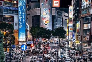 Tokio: Tour privado de la ciudad personalizable con chófer
