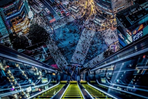 Tokio: Tour privado de la ciudad personalizable con chófer