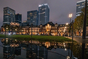 Tokio: Tour privado de la ciudad personalizable con chófer