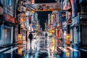 Tokio: Tour privado de la ciudad personalizable con chófer