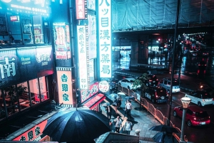 Tokio: Tour privado de la ciudad personalizable con chófer