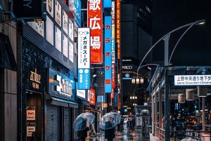 Tokio: Tour privado de la ciudad personalizable con chófer