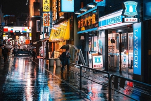 Tokio: Tour privado de la ciudad personalizable con chófer