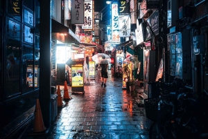 Tokio: Tour privado de la ciudad personalizable con chófer