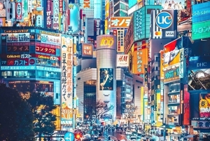 Tokio: Tour privado de la ciudad personalizable con chófer