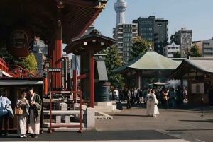 Tokio: Tour privado de la ciudad personalizable con chófer