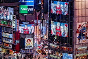 Tokio: Tour privado de la ciudad personalizable con chófer