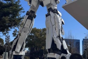 Tokyo: Customizable Day Trip Within Tokyo & English-Driver