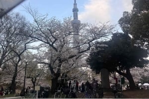 Tokyo: Customizable Day Trip Within Tokyo & English-Driver