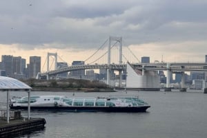 Tokyo: Customizable Day Trip Within Tokyo & English-Driver