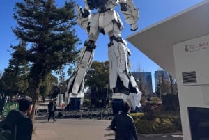 Tokyo: Customizable Day Trip Within Tokyo & English-Driver