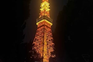 Tokyo: Customizable Day Trip Within Tokyo & English-Driver