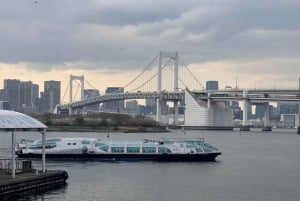 Tokyo: Customizable Day Trip Within Tokyo & English-Driver