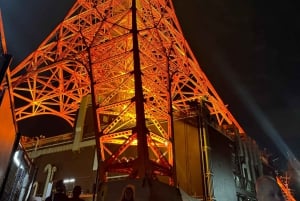 Tokyo: Customizable Day Trip Within Tokyo & English-Driver