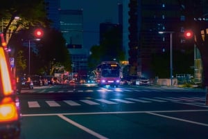 Tokyo: Customizable Day Trip Within Tokyo & English-Driver