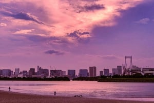 Tokyo: Customizable Day Trip Within Tokyo & English-Driver