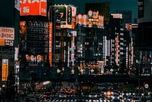 Tokyo: Customizable Day Trip Within Tokyo & English-Driver