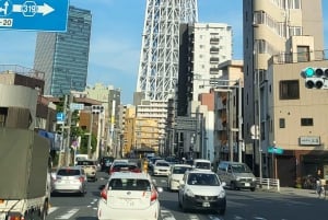 Tokyo: Customizable Day Trip Within Tokyo & English-Driver