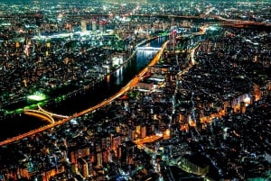 Tokyo: Customizable Day Trip Within Tokyo & English-Driver