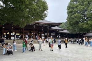 Tokio: Yksityinen räätälöitävä kiertoajelu paikallisen oppaan kanssa