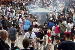 Tokio: Yksityinen räätälöitävä kiertoajelu paikallisen oppaan kanssa