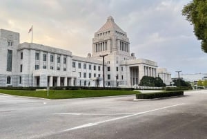 Tokio: Yksityinen räätälöitävä kiertoajelu paikallisen oppaan kanssa