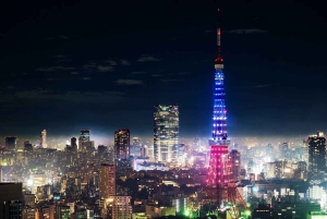Tokio: privéaanpasbare tour met transfer