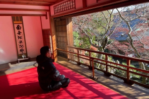 Tokyo: Privat skræddersyet 1-dags guidet tur med lokale guider