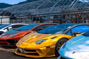 Tokyo : Premium Daikoku PA ET Umihotaru PA Car Tour