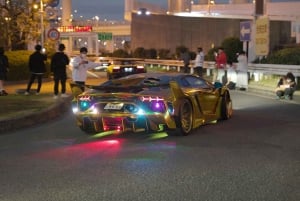 Tokyo : Premium Daikoku PA ET Umihotaru PA Car Tour